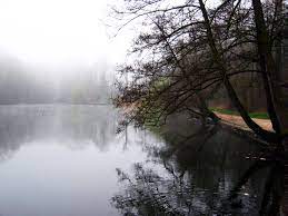 Lundi 18 octobre : Balade et pique-nique Etang de St Cucufa