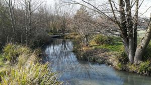 Jeudi 12 mai : Pique-nique nature à l’Ile de Monsieur