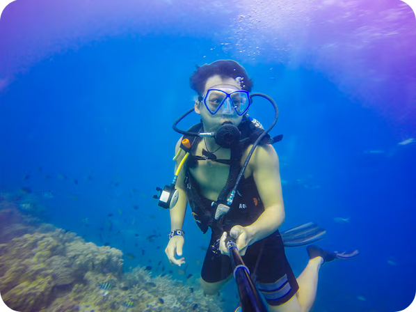 software de gestión de buceo – gestionar - planifica