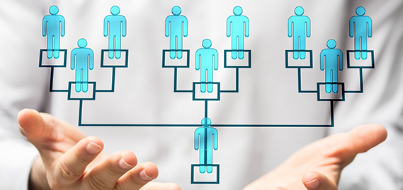 Association management of federations and multi-entity structures