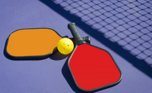 logiciel de gestion de club de pickleball